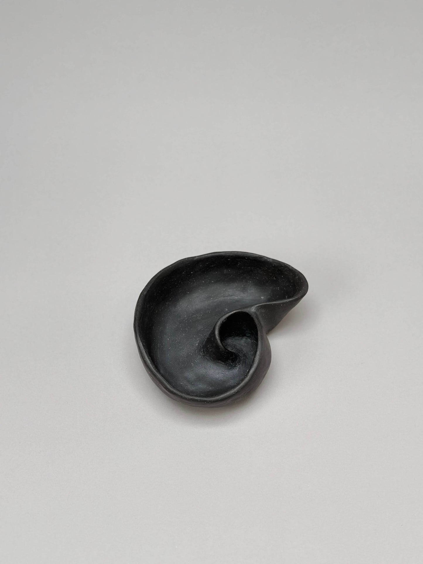 Black Shell Shaped Piece