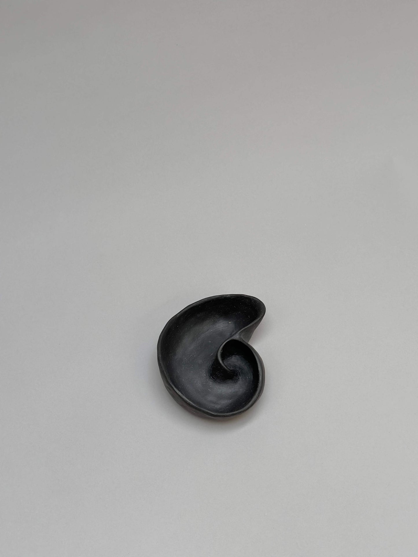 Black Shell Shaped Piece