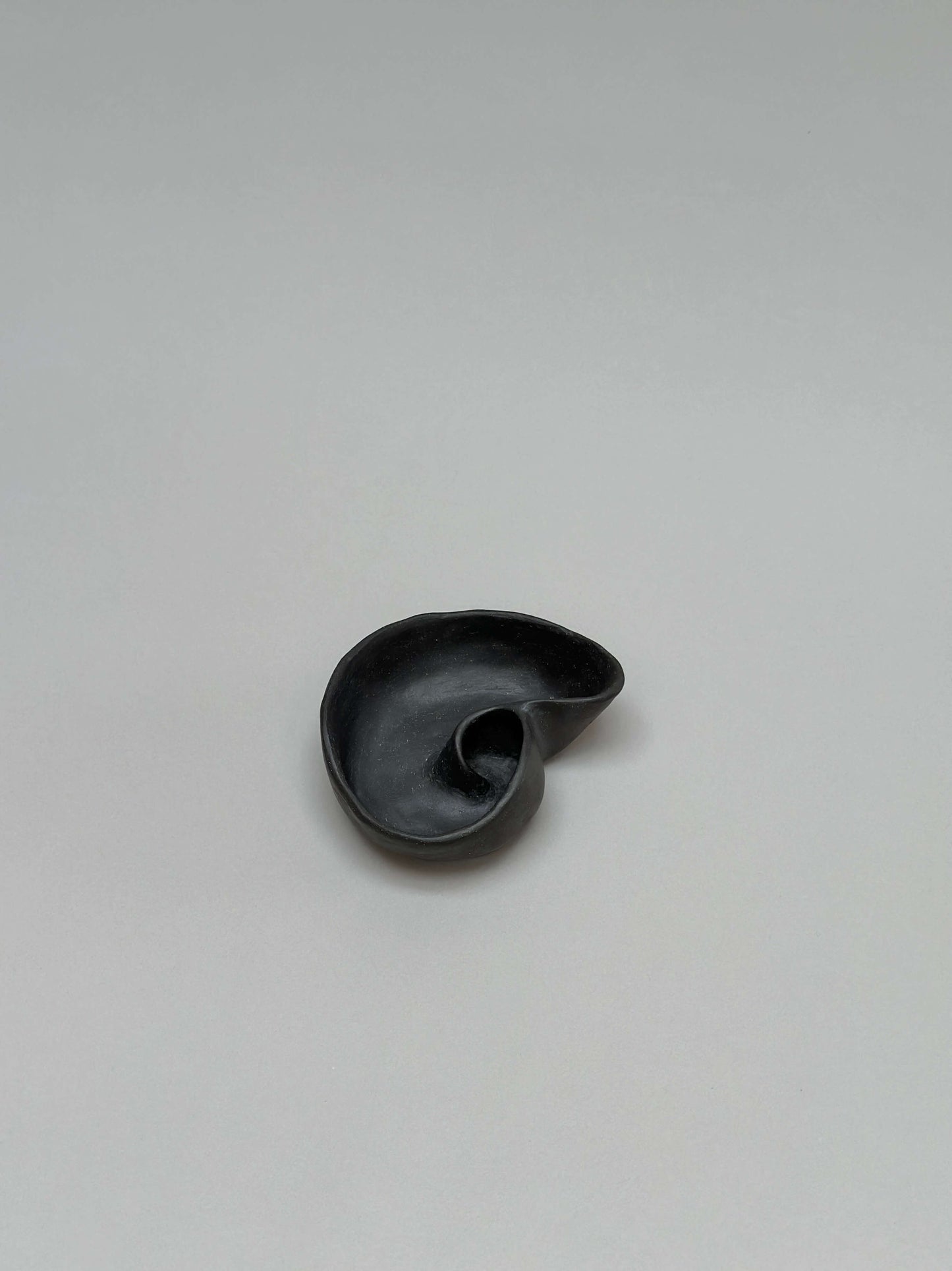 Black Shell Shaped Piece
