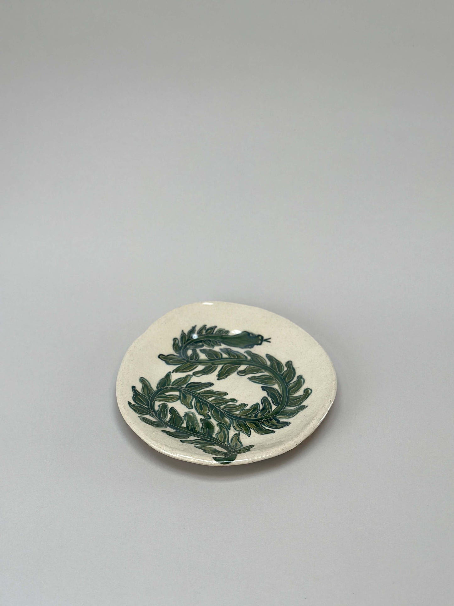 Snake Ivy Dish