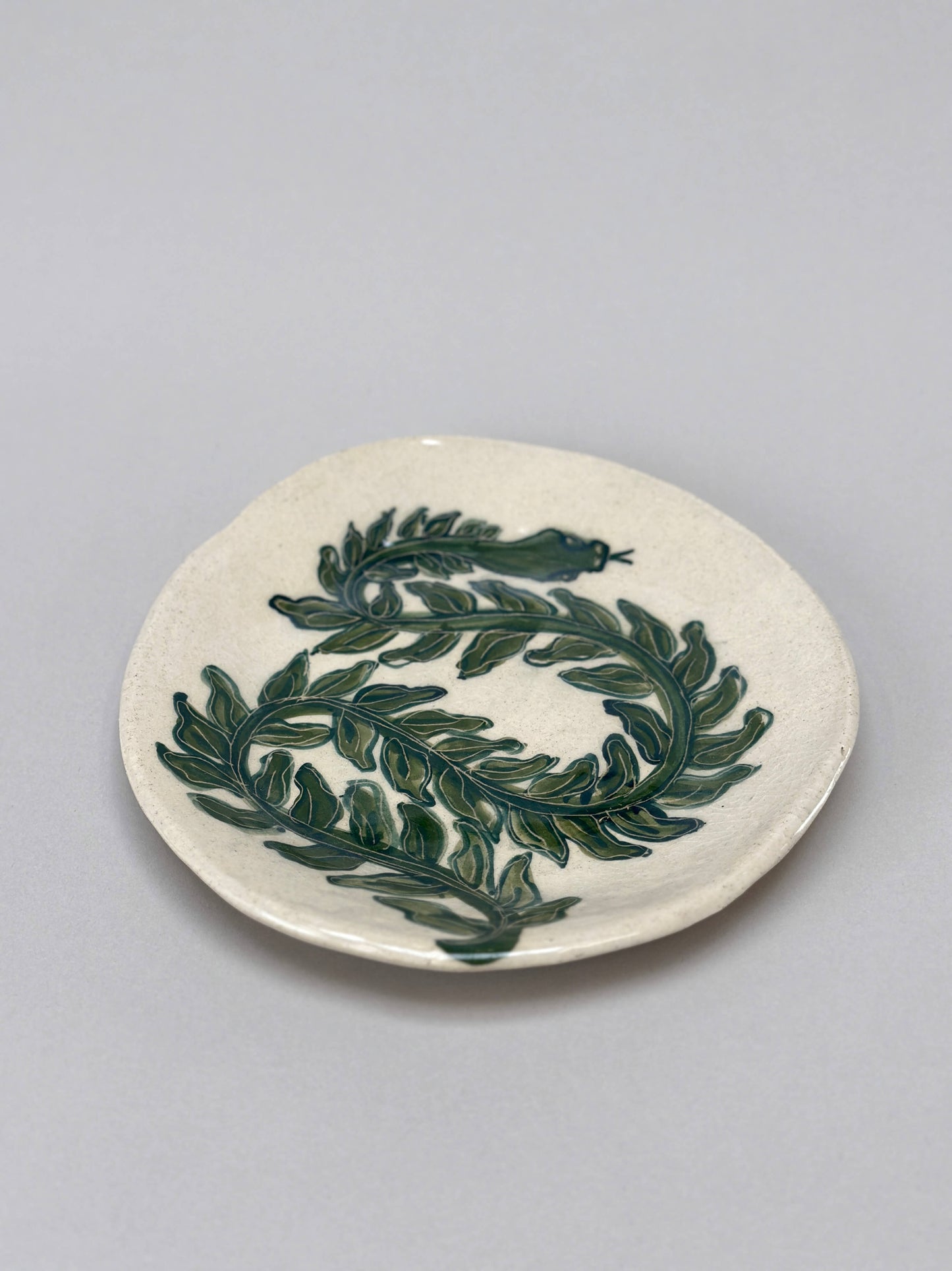 Snake Ivy Dish