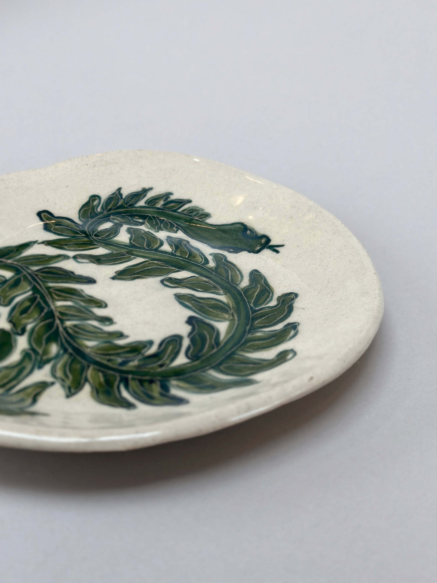 Snake Ivy Dish