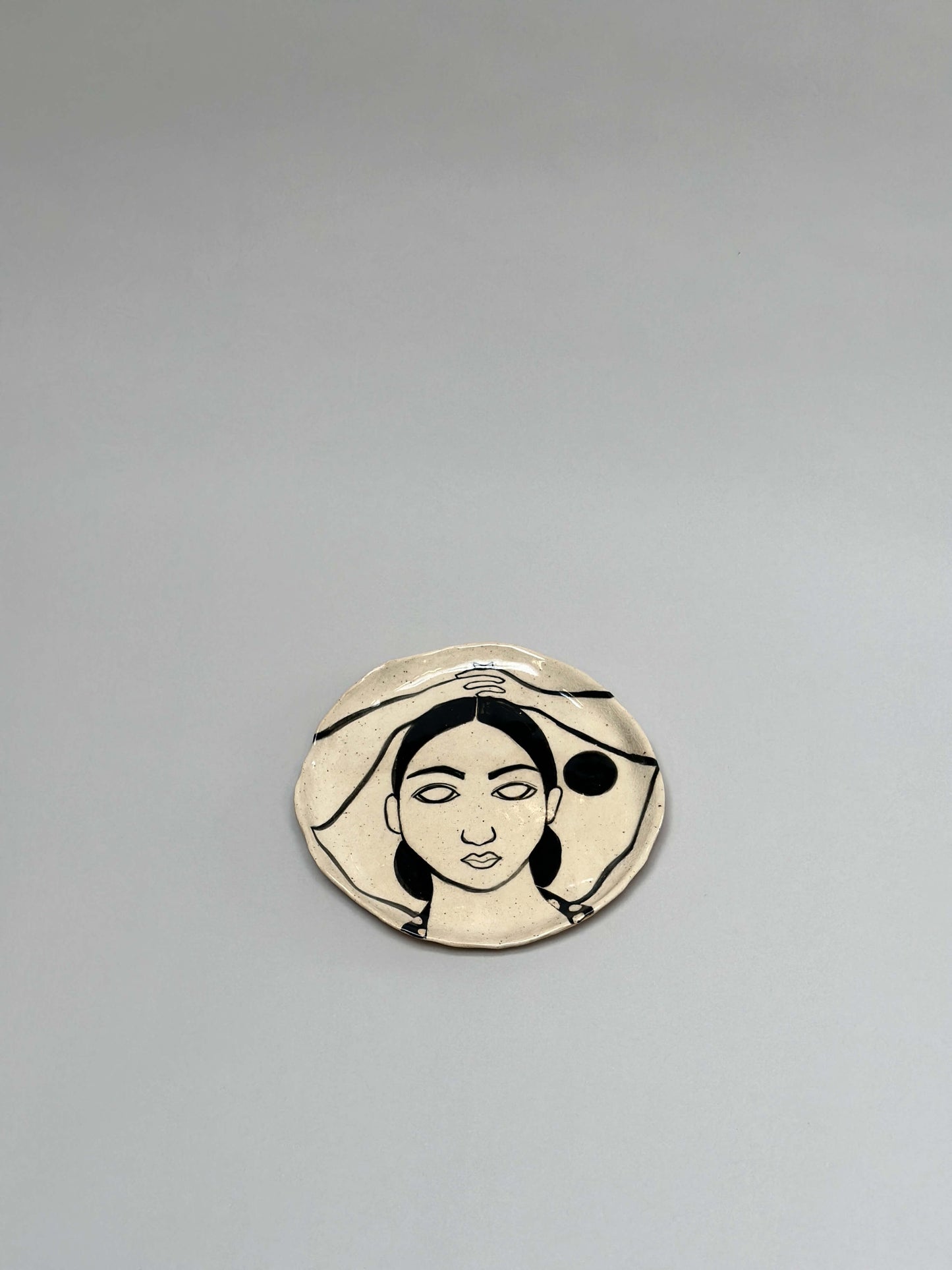 Ibis en la playa plate