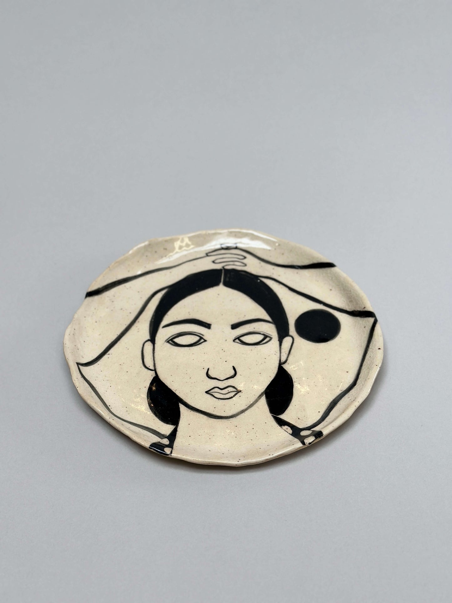 Ibis en la playa plate