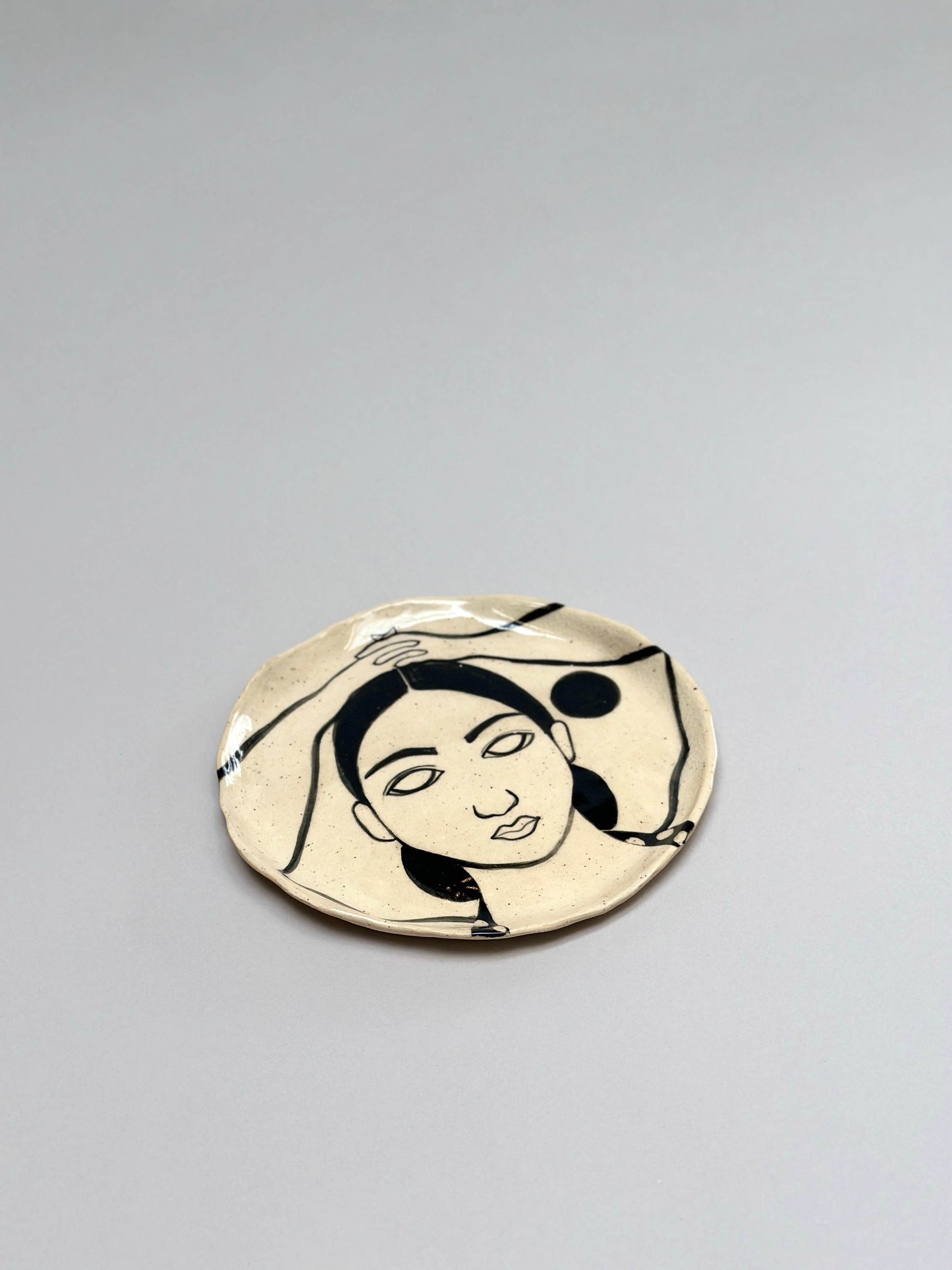 Ibis en la playa plate