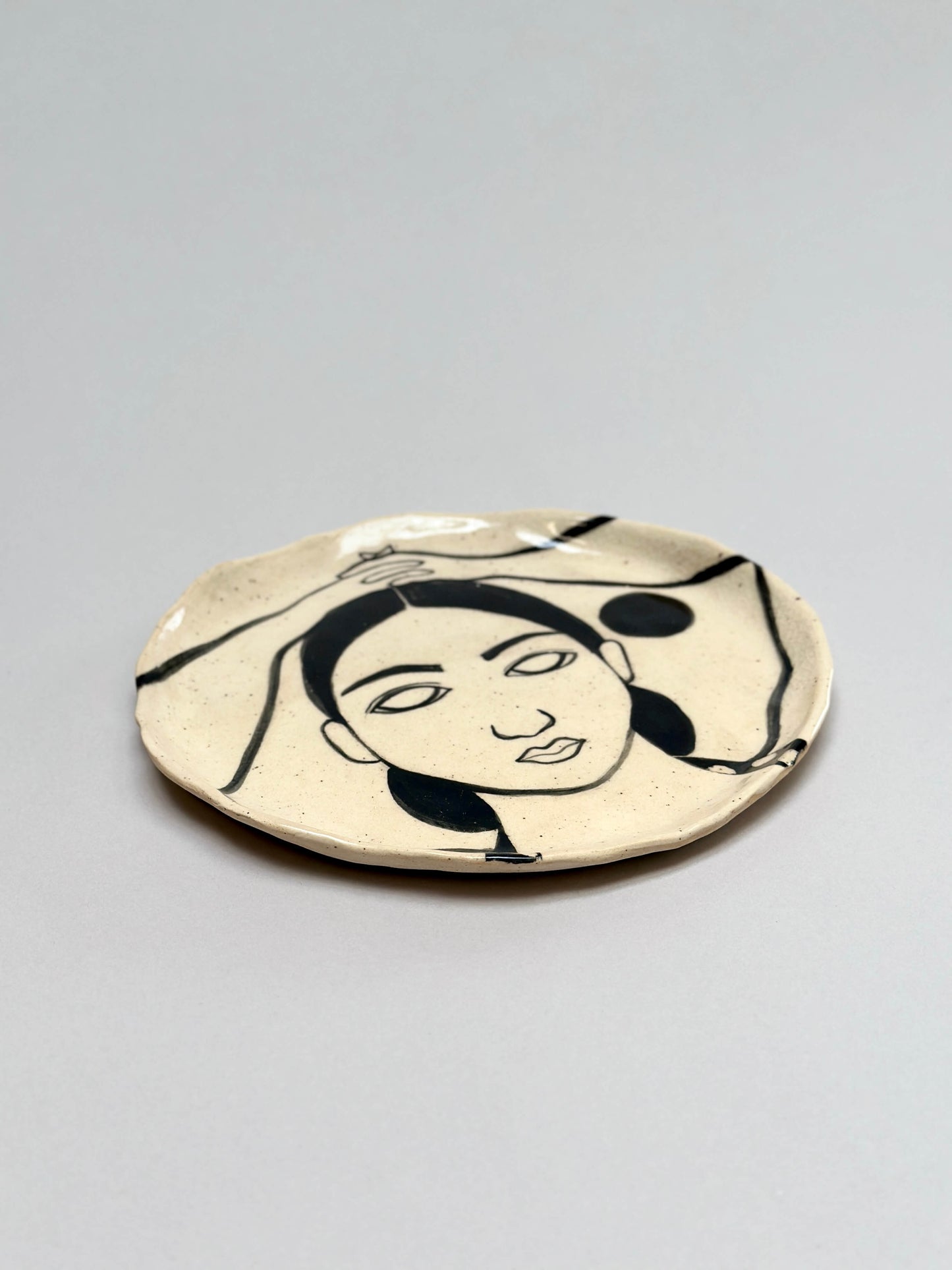 Ibis en la playa plate